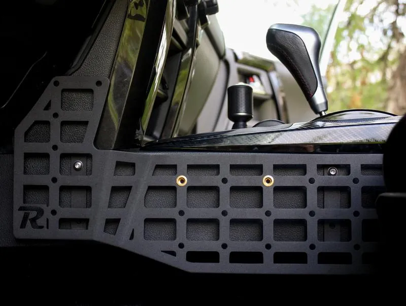 Rago 2010  4Runner Center Console Modular Storage Panel